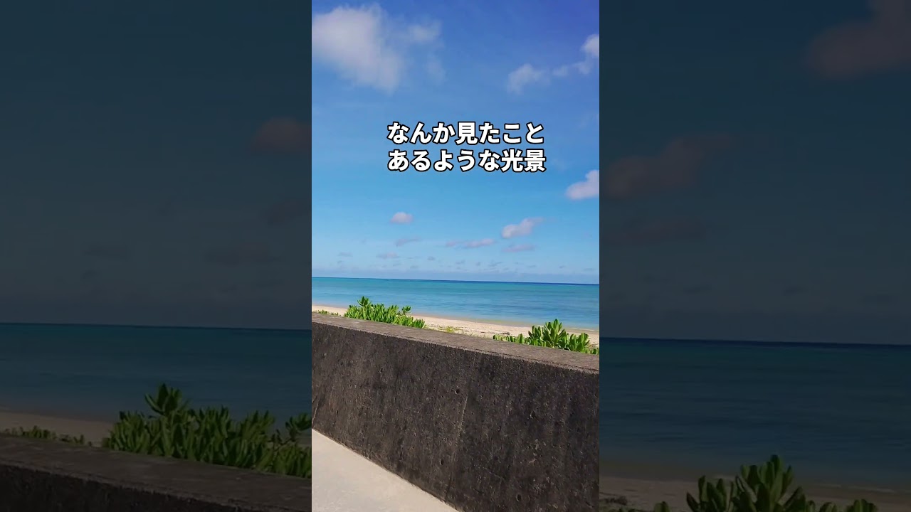 【沖縄vlog】今帰仁村。もしかしてあのビーチかな…？朝さんぽしていたら【沖縄北部】