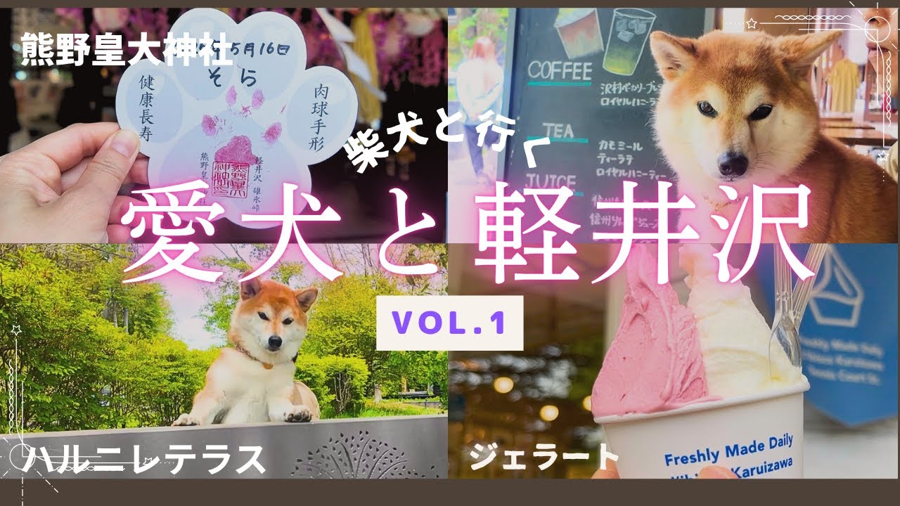 【愛犬と軽井沢♡vol.1】ペットフレンドリーな軽井沢は、愛犬とのお出かけに最高すぎた🩷オススメなお出かけプラン🌿
