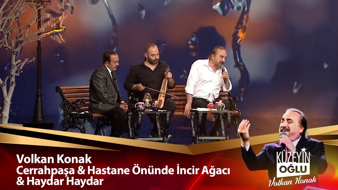Volkan Konak - Cerrahpaşa & Hastane Önünde İncir Ağacı & Haydar Haydar