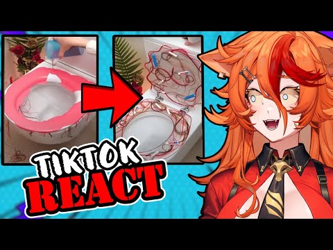 VTuber Reacts to TikToks That Got TikTok Banned
