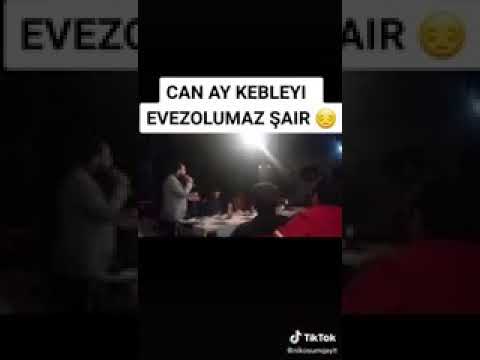Vuqar biləcəri