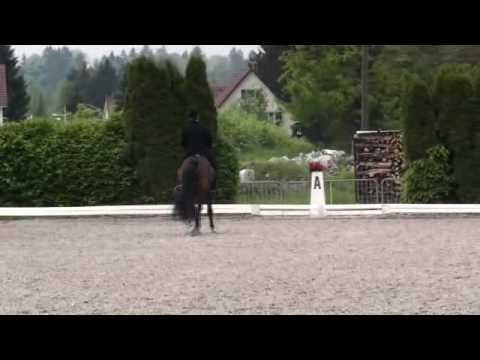 wagneur.bondadoso16.05.2010