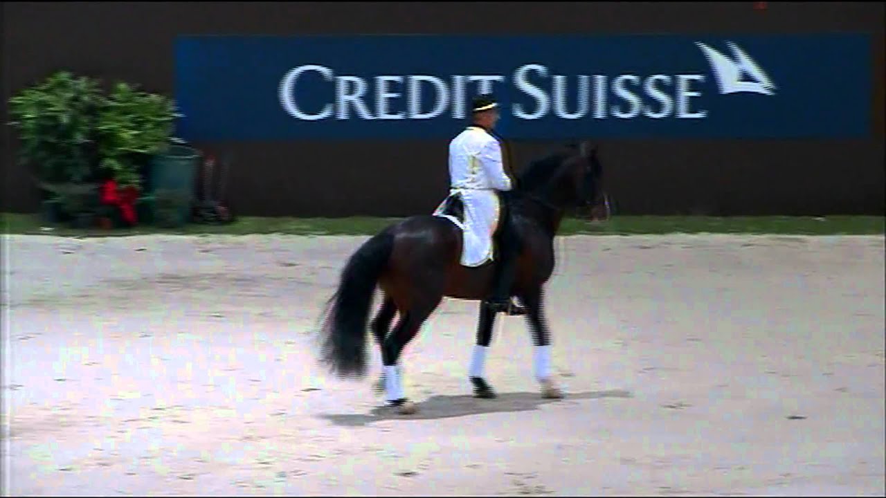 wagneur.bondadosopalexpo2010.vob
