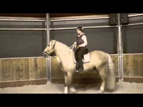 wagneur.dorado.janie.janvier2011