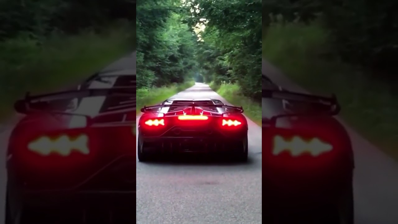 Waking up the forest!🌲🔥 By @gercollector #cars #lamborghini #aventador