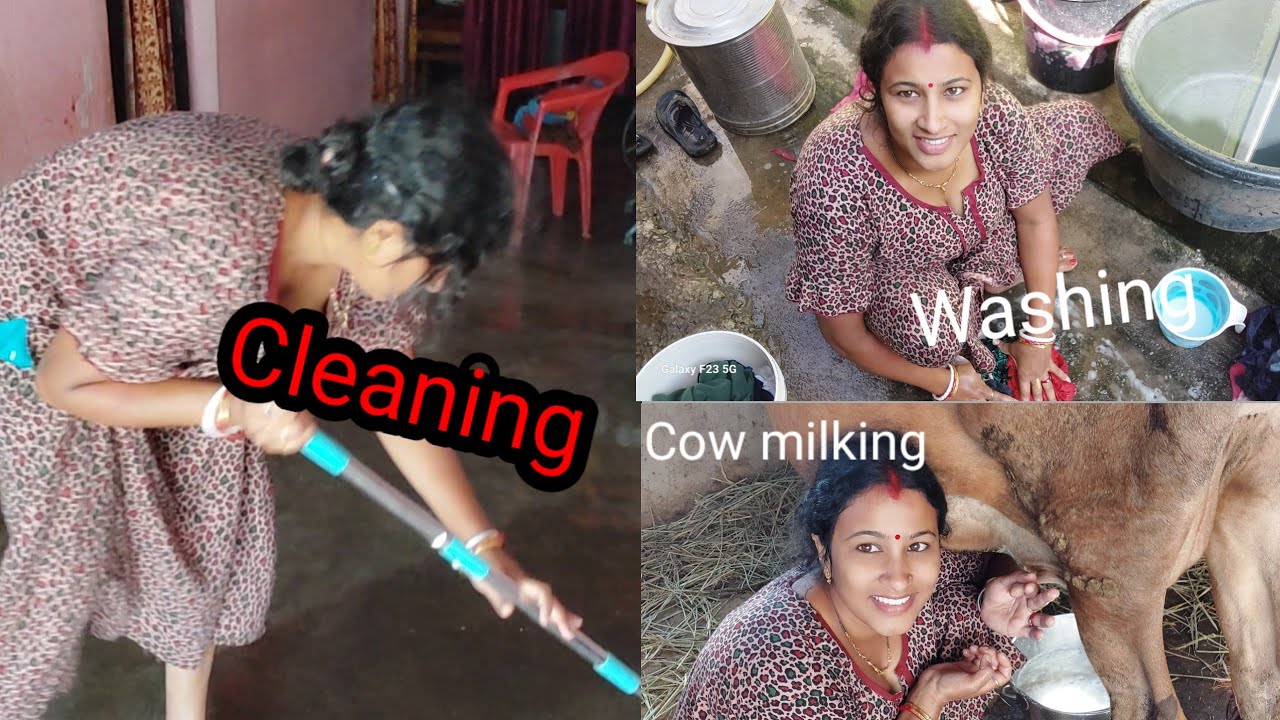 Washing 👗👖Cleaning 🪣 and cow milking🐄🍼🥛 video @kalyanivlogs5548 #Cleaning #washing #cow milkig