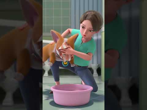 Washing my dog’s face 🤣 #moco #mocoandyummy #yummy
