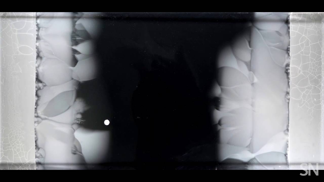 Watch antibiotic resistance evolve | Science News