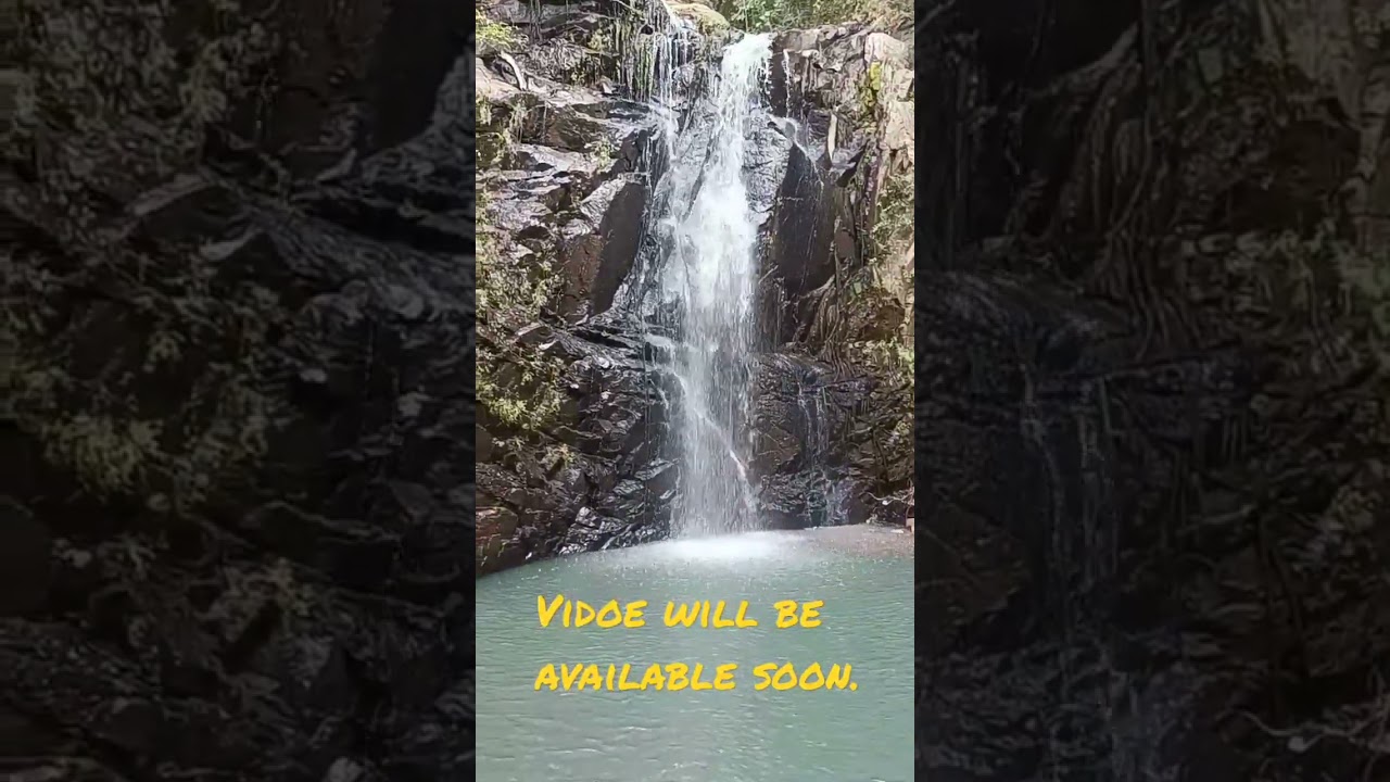 Water fall view मसूड़ियाखाड़ के पास जंगलों में एक झरने का मनोरम दृश्य#shorts