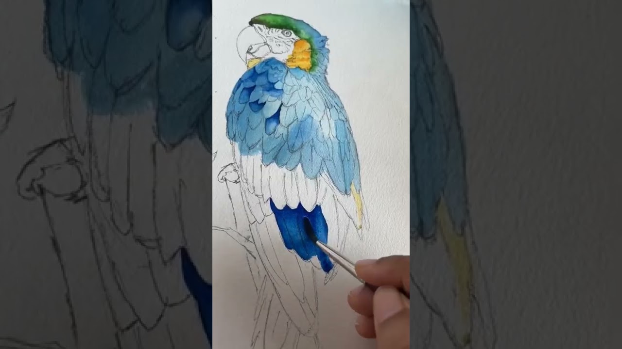 watercolor parrot painting #shorts #art #youtubeshorts #drawing