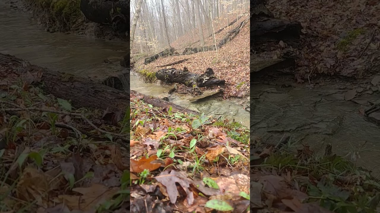 Waterfall in the woods #asmr #water