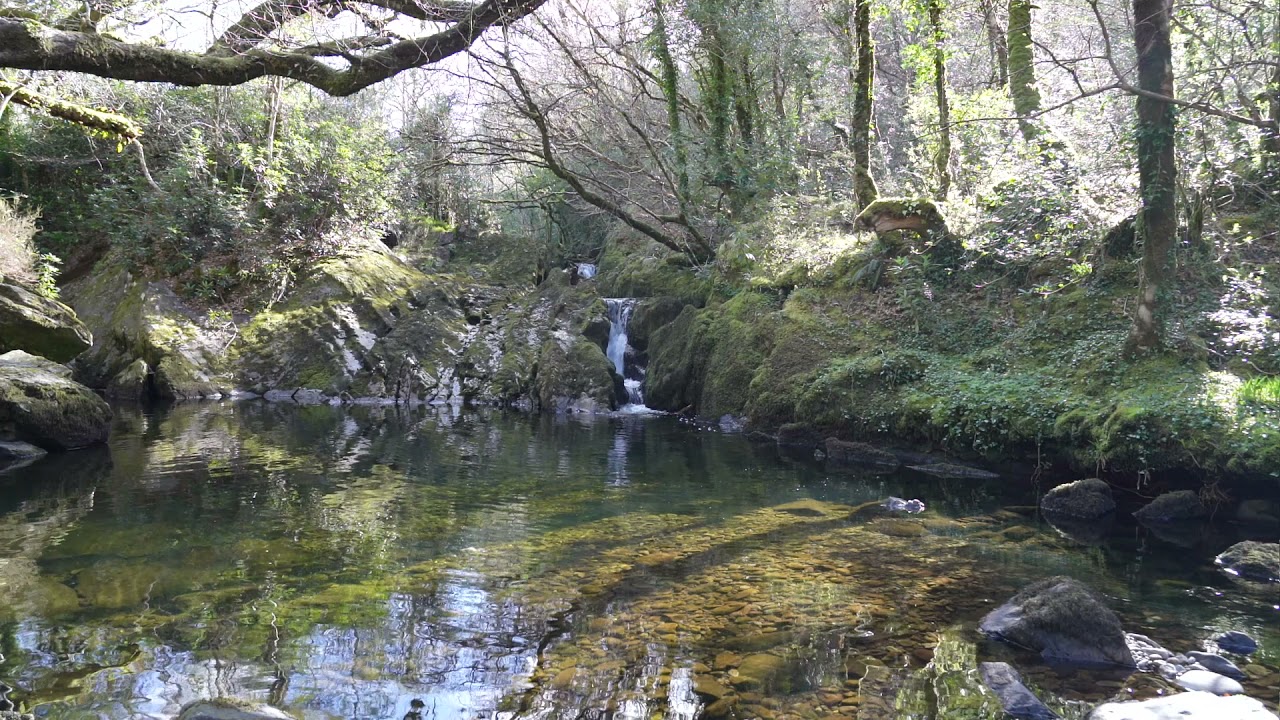 Waterfall Trailer