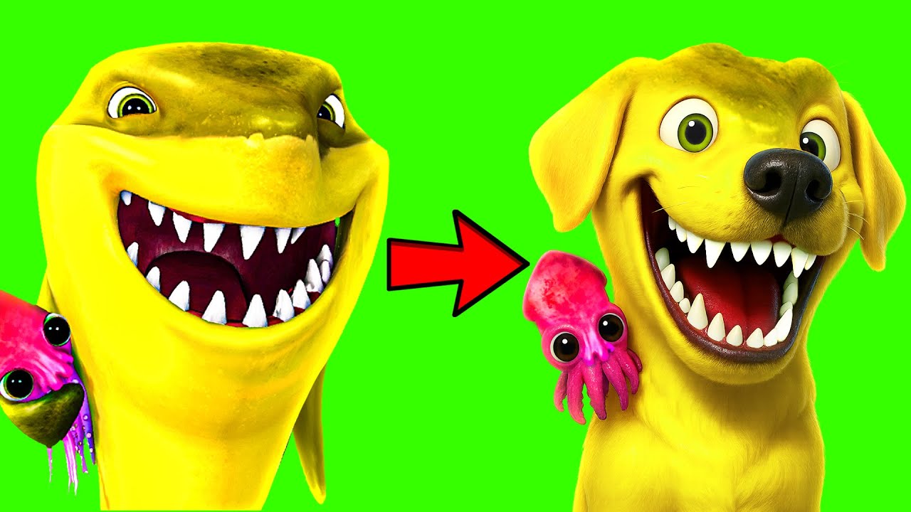 We CHANGED our AVATARS!