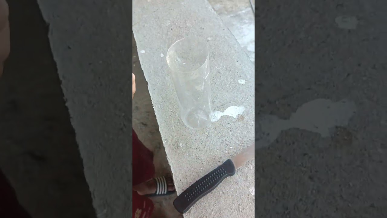 we made a homemade gecko trap