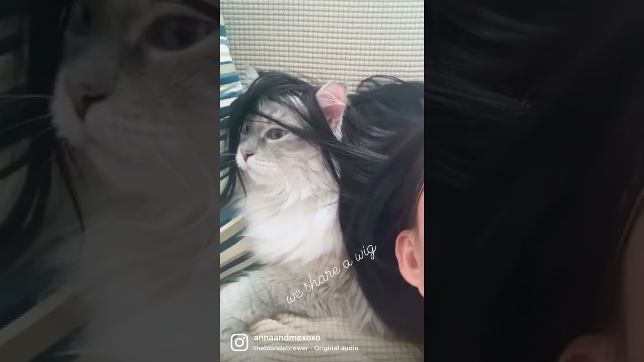 we share a wig