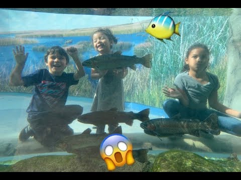 WE TOUCHED A JELLYFISH!!