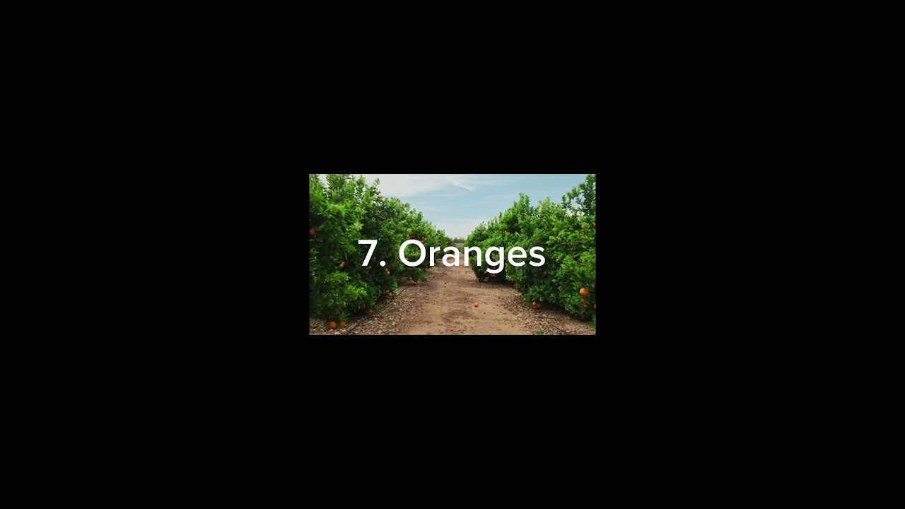 Weekly Compilation of Top 10 Videos - Fruit
