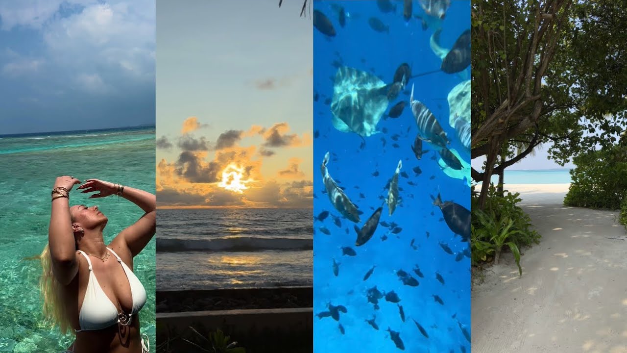 WEEKLY VLOG - Maldives