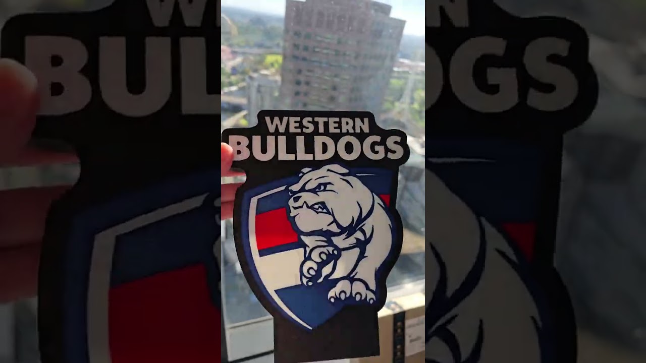 Western Bulldogs Light Box! | #afl  #westernbulldogs  #bambua1 #3dprinting