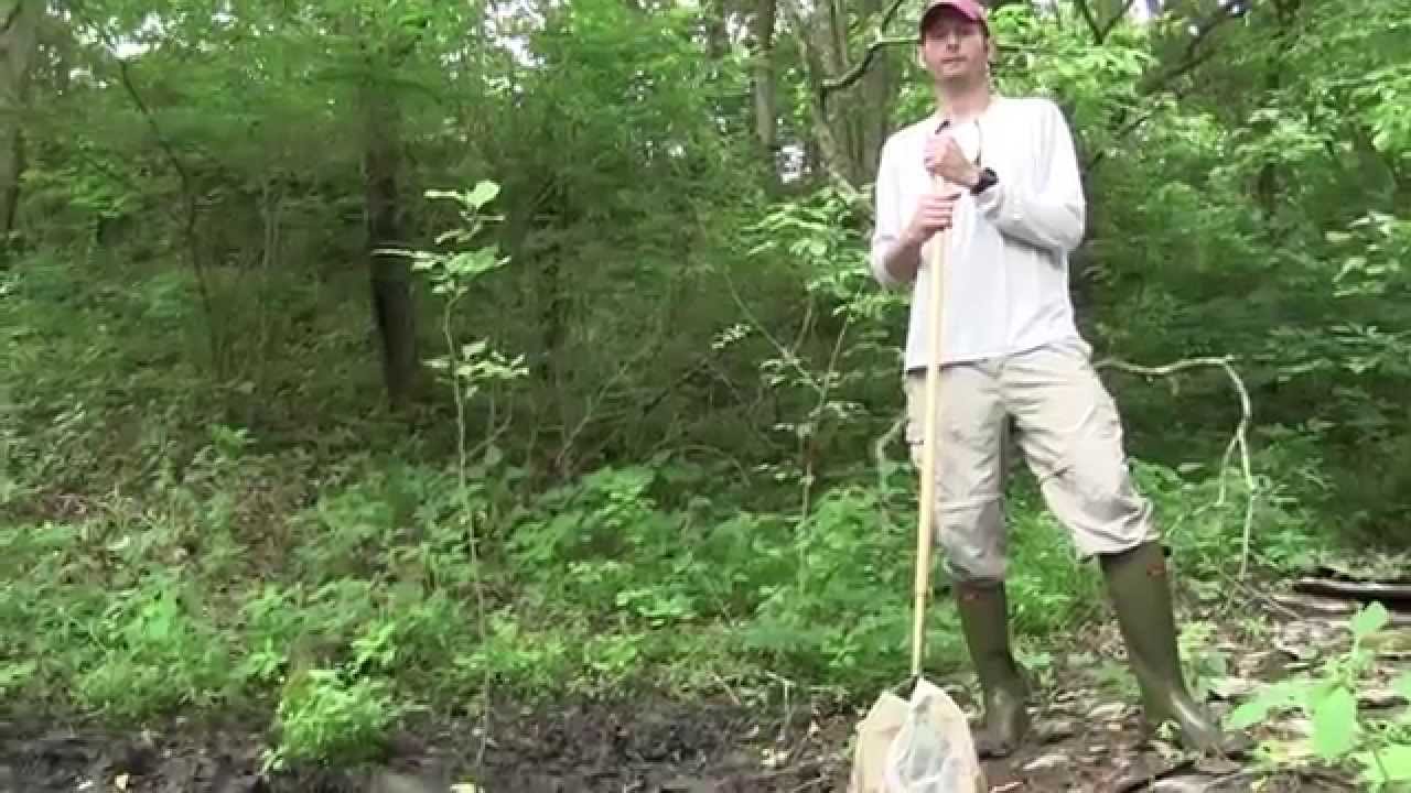 Wetland Ecology -Dr. Stephen Richter