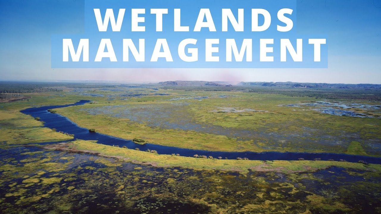 Wetlands Management