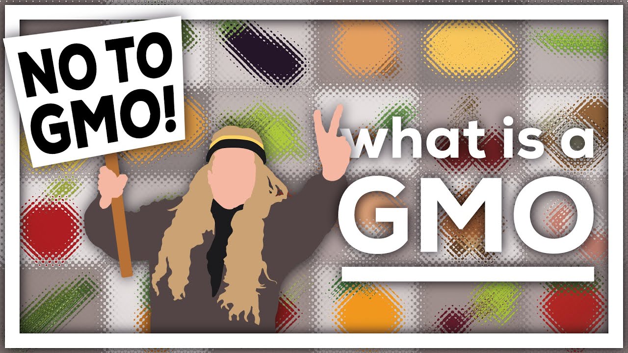 What is a GMO?