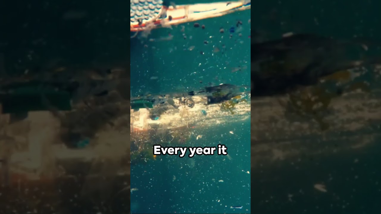 What is the Atlantic Garbage Patch?!  #ocean#marinelife #oceanlife #recycle #ecosystem #fish