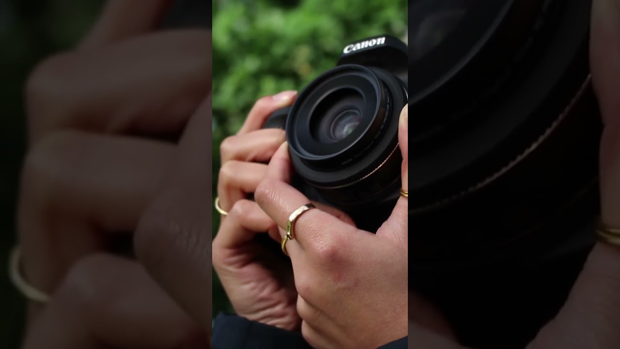 What Is Their Aperture? Canon EF-S 24mm vs EF-S 18-55mm
