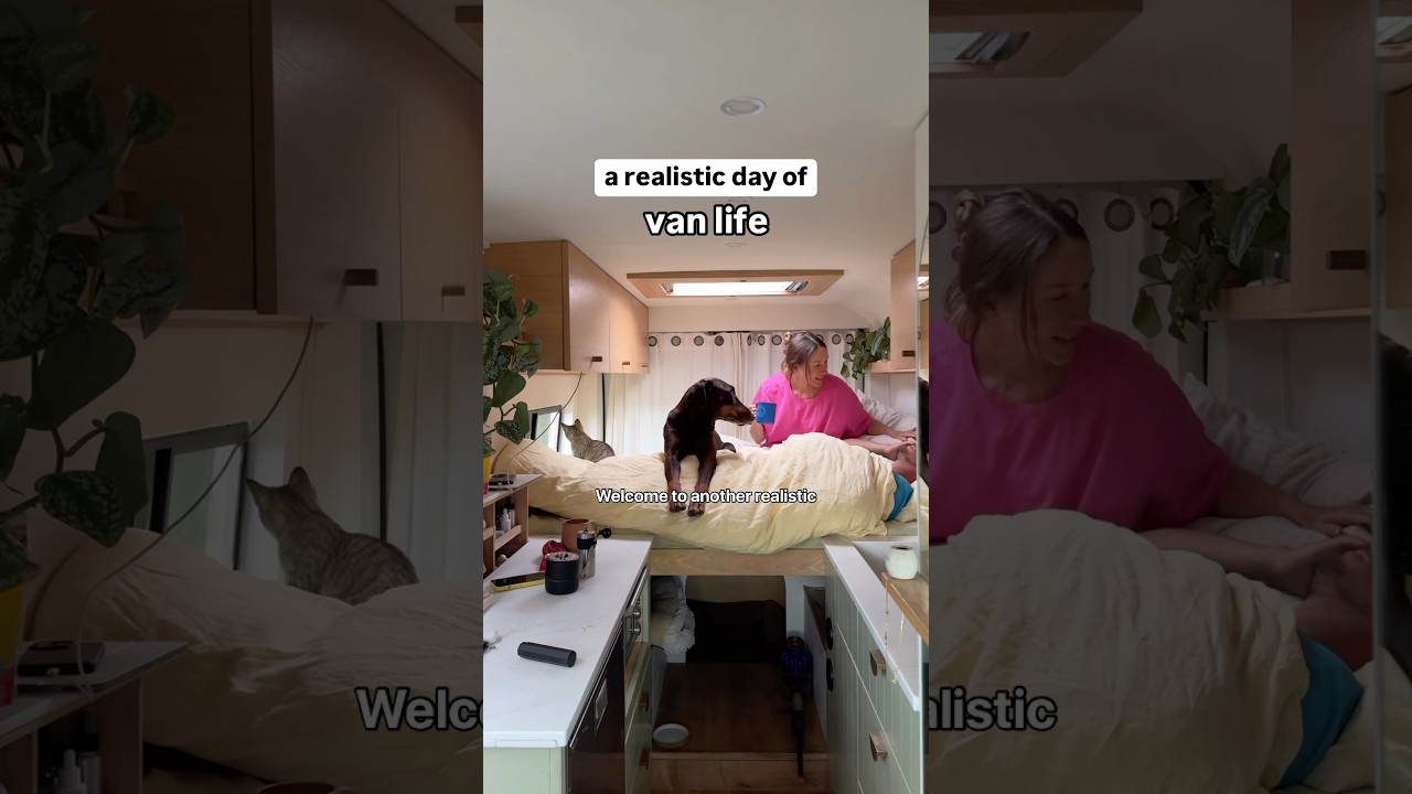 What Van Life Is Really Like | Chores & Cleaning💩🧹 #vanlifer #vanlife
