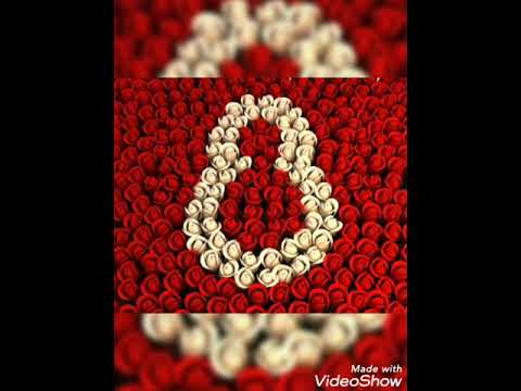 Whatsapp üçün durum Yeni ⚘8 Mart⚘ tebriki
