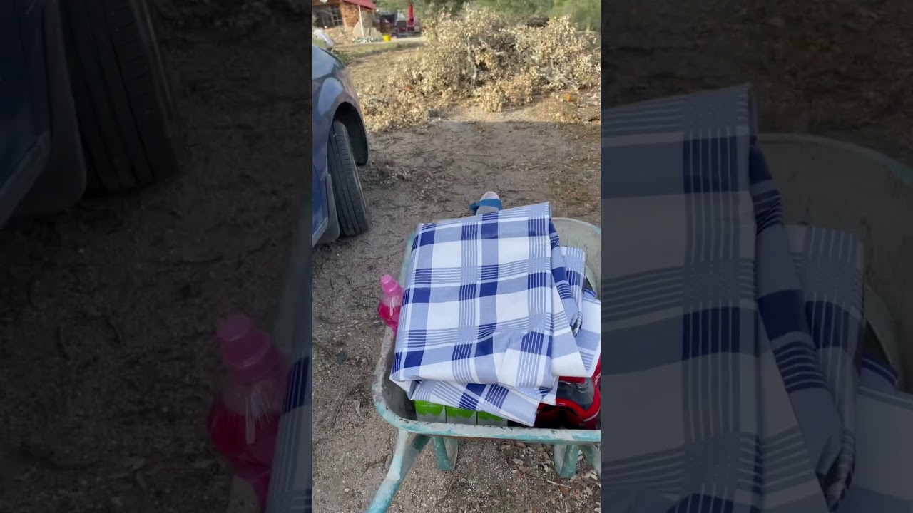 When you know you live off-grid #shorts #offgrid