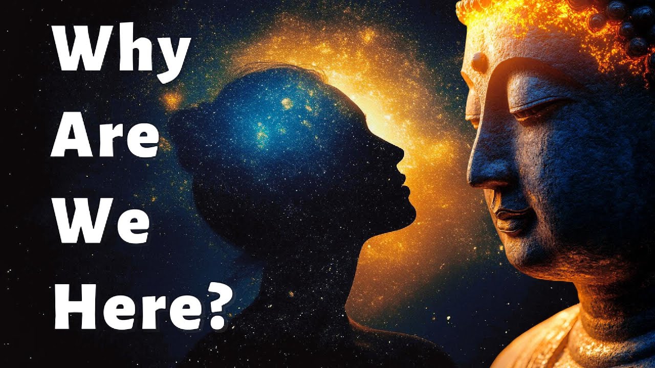 Why Are We Here? The Buddha's Answer