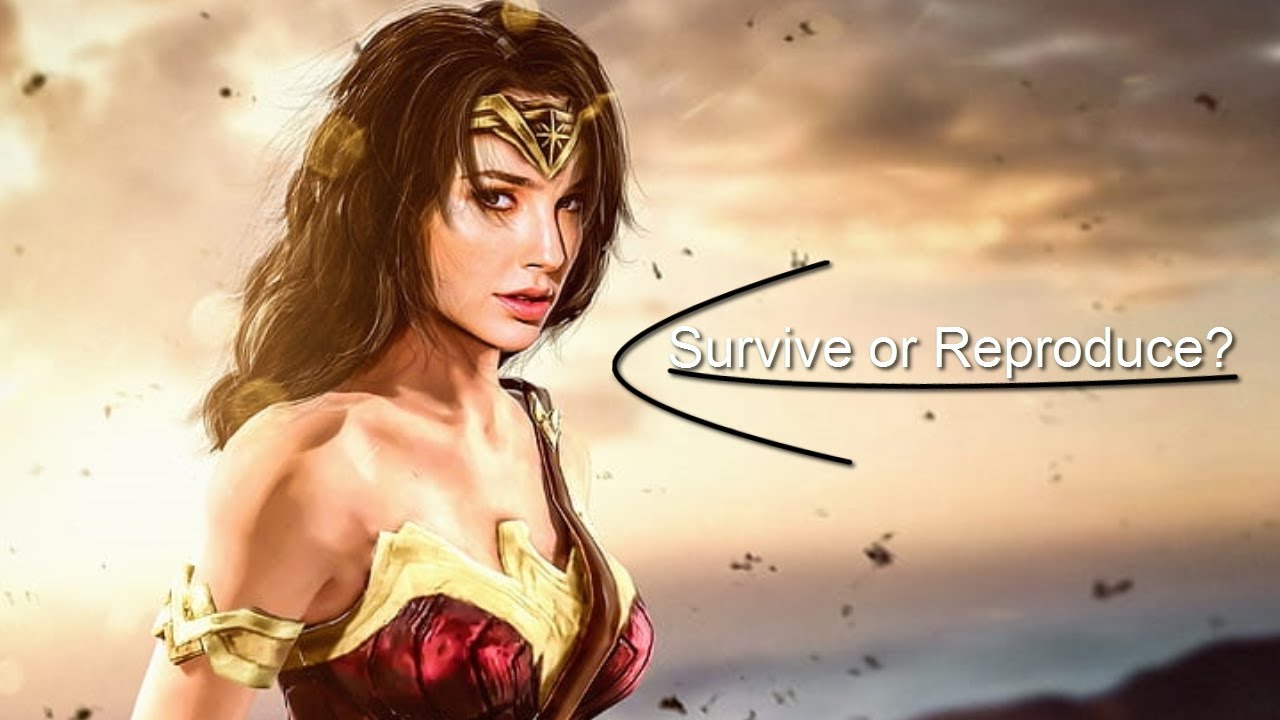Why does Wonder Woman beat so many other female action movies? - StoryBrain