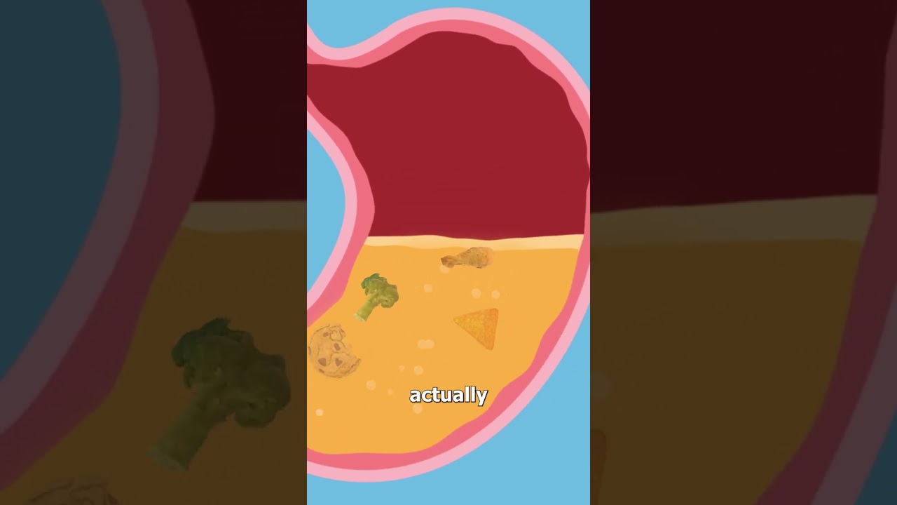 Why Your Stomach Growls 😷