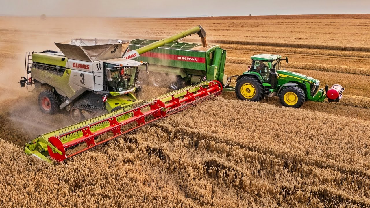 Wielkie żniwa 2024! | Kombinat Rolny Kietrz | 8x Claas Lexion