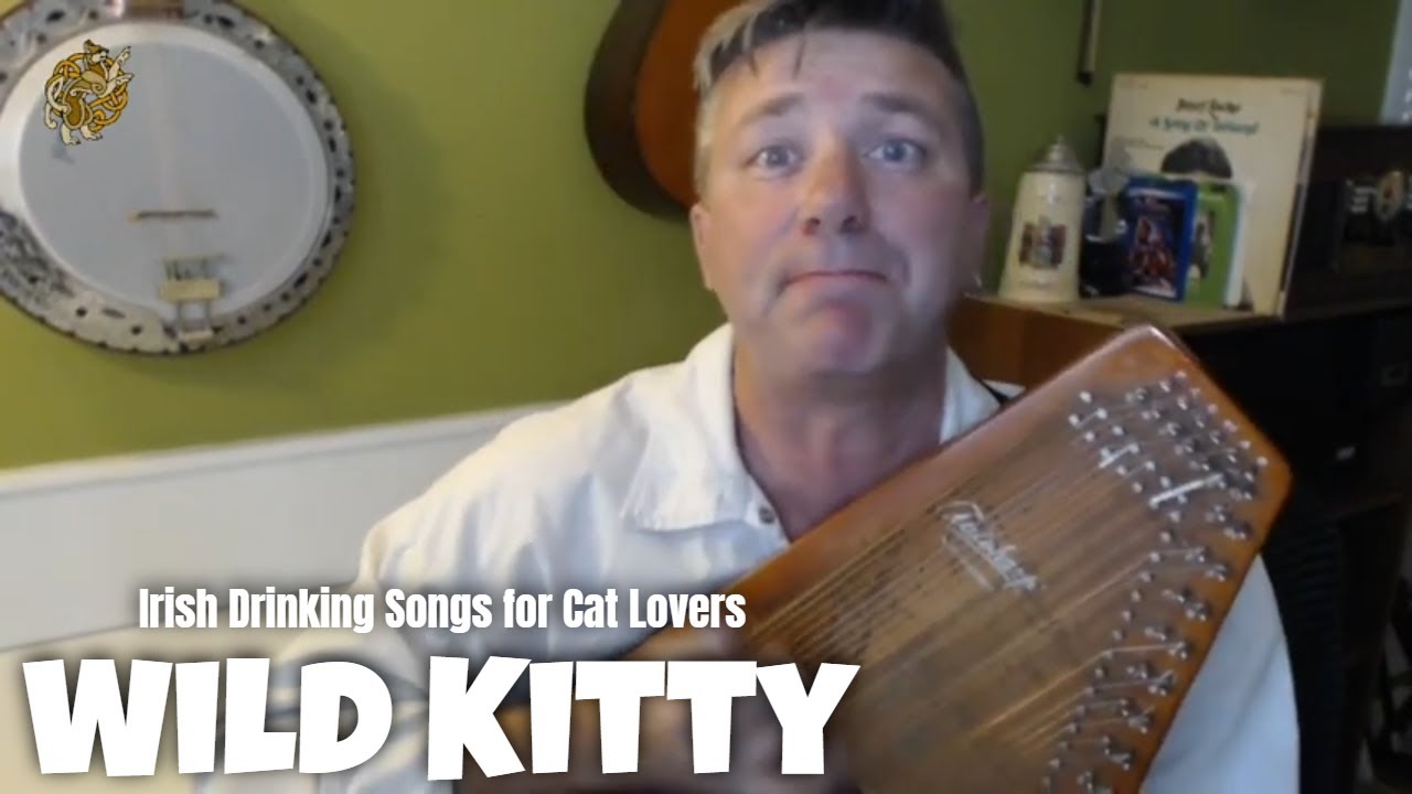 WILD KITTY (Parody of Wild Rover)