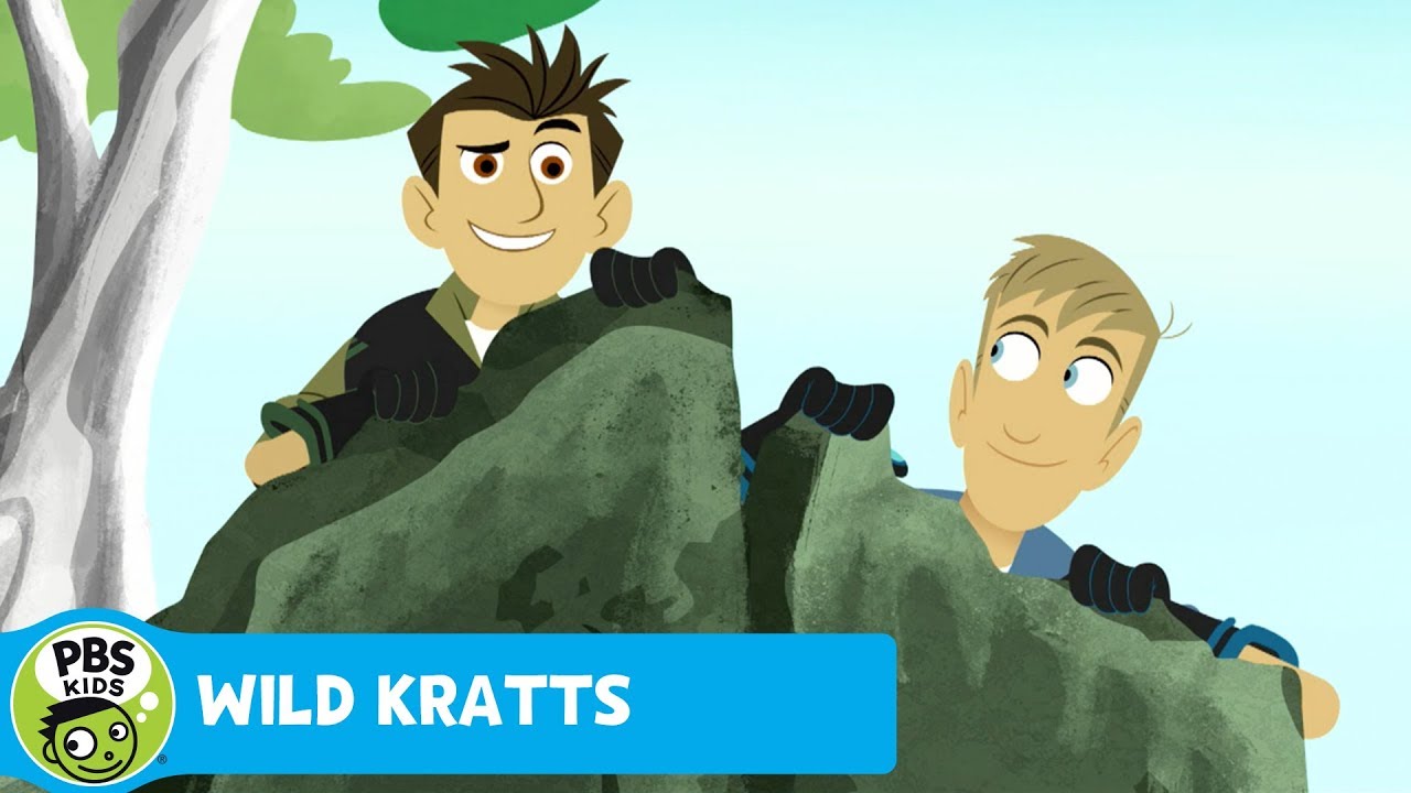 WILD KRATTS | Activate! | PBS KIDS
