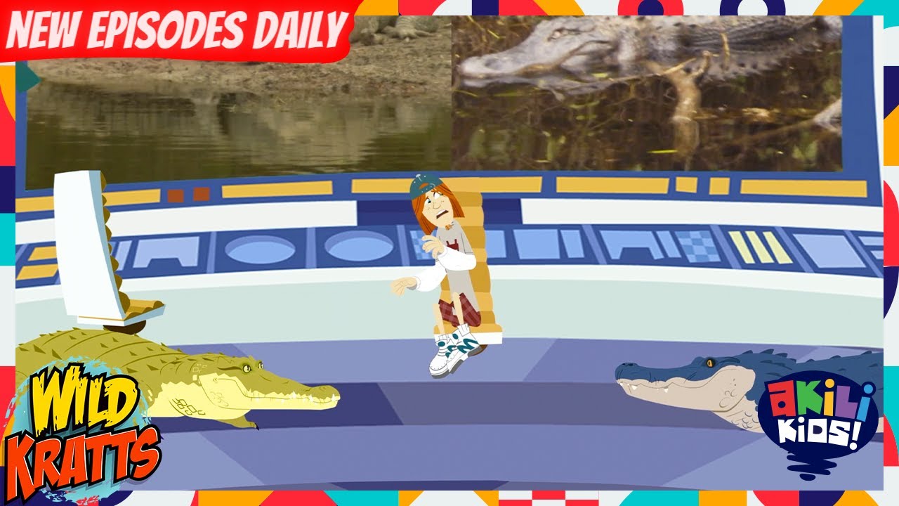 Wild Kratts | Crocogators In The Tortuga! | Akili Kids!