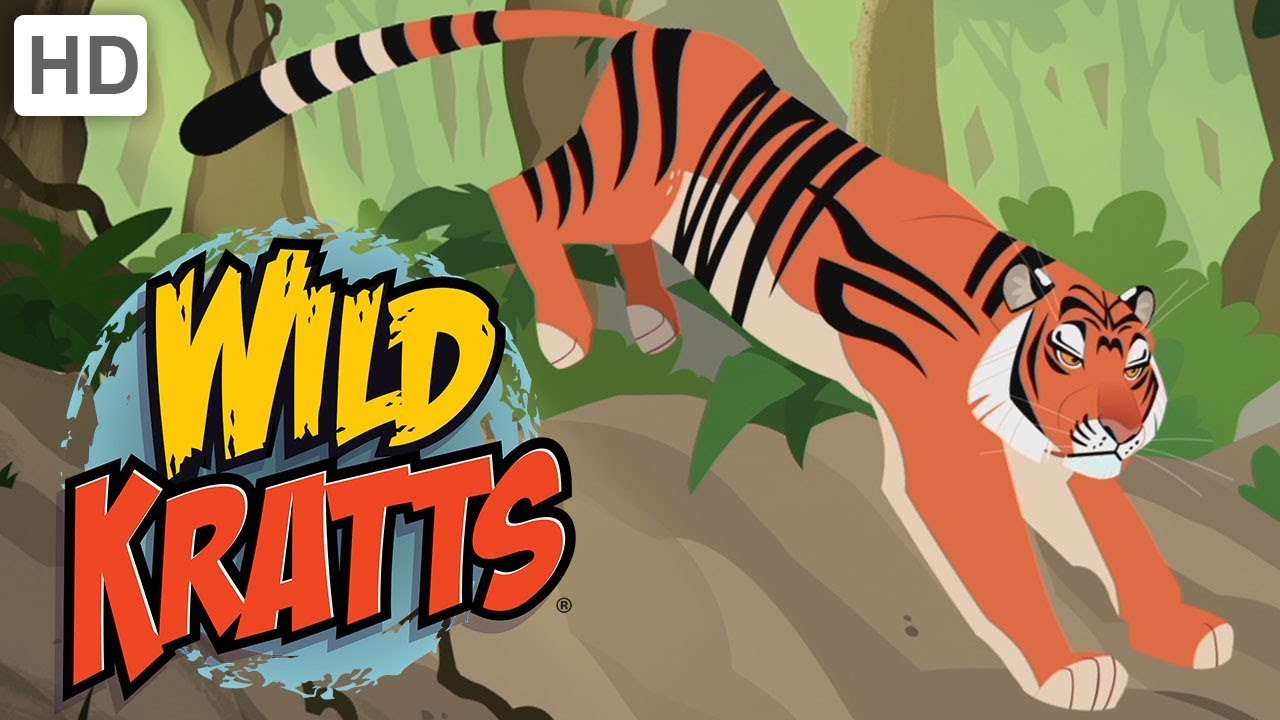 Wild Kratts - Explore India! | Kids Videos