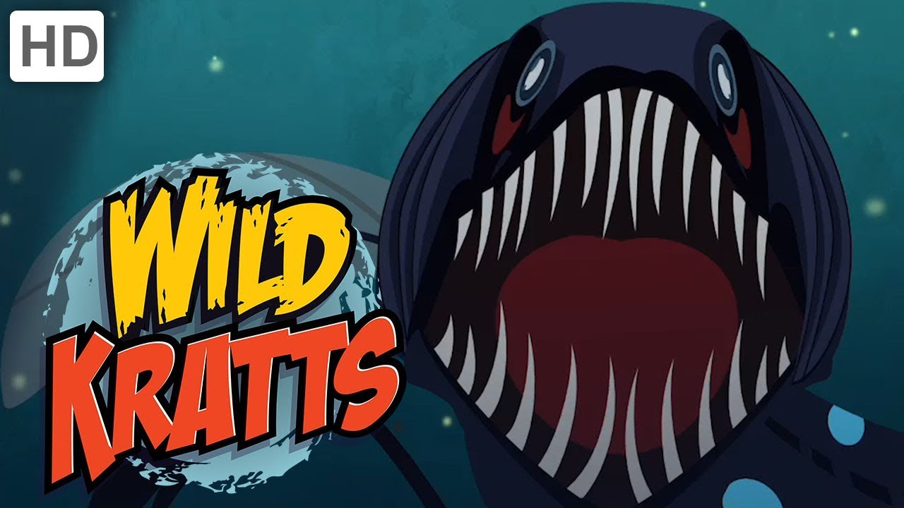 🦈🦑Wild Kratts - Ocean Explorers | Kids Videos