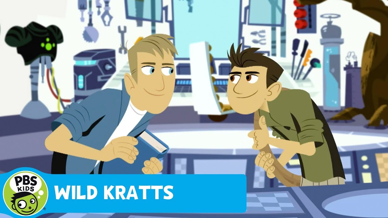 WILD KRATTS | The Dhole | PBS KIDS