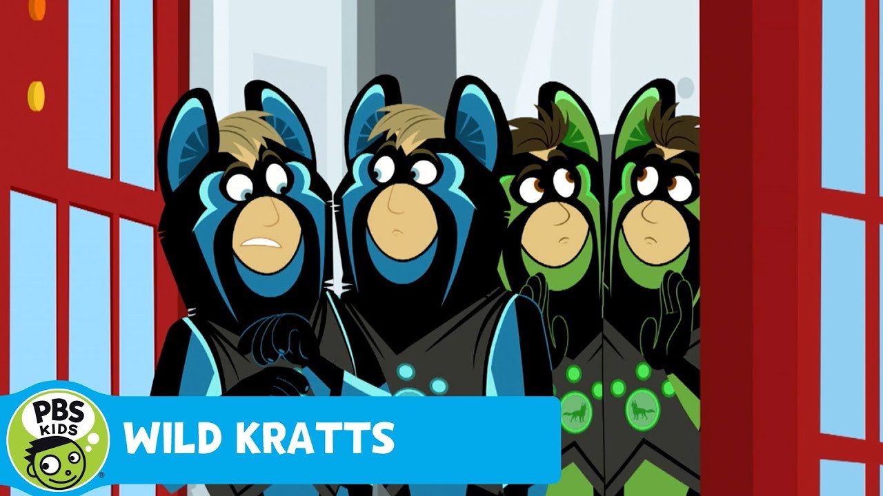 WILD KRATTS | Tiger Chase | PBS KIDS