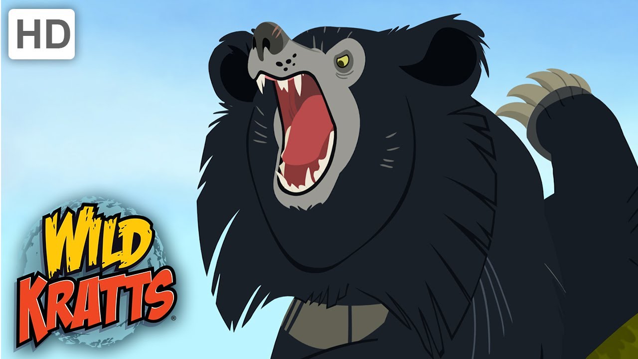 Wild Kratts |Sloth Bear| Wildlife
