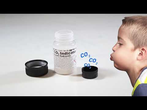Wild Science Climate Change - Smyths Toys