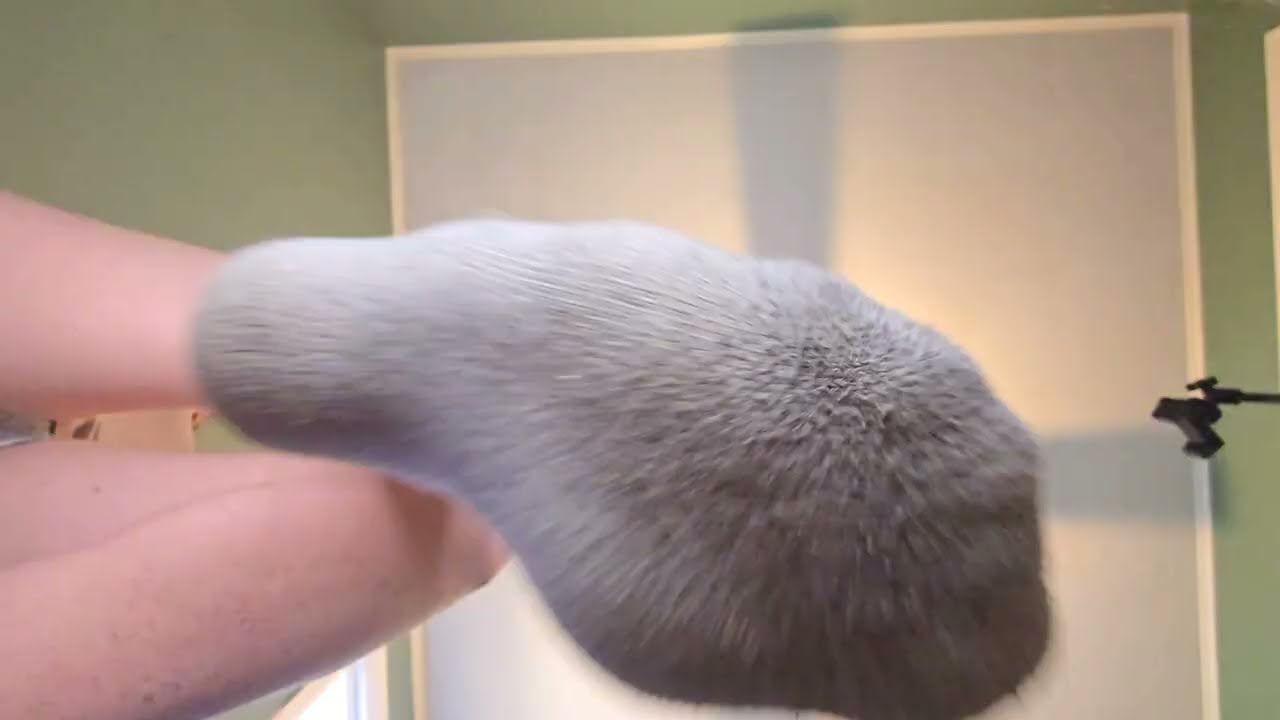 Will you be my footstool?   |   Giantess POV Roleplay ASMR