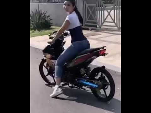 Wisuki sajat