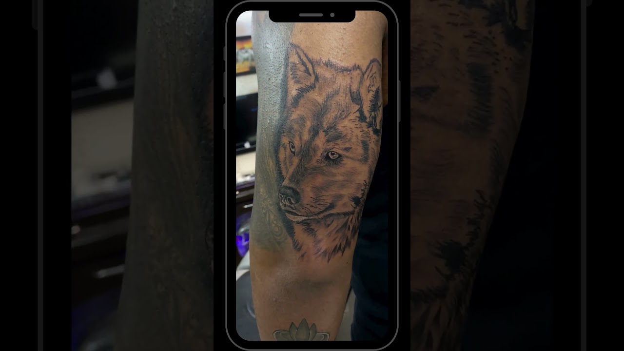 wolf tattoo on triceps #tattoo #shorts #shortsviral #shortstattoo