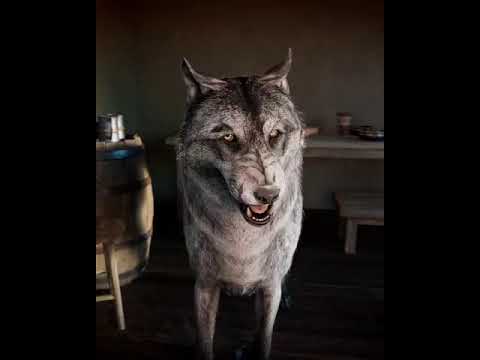 Wolf Vore