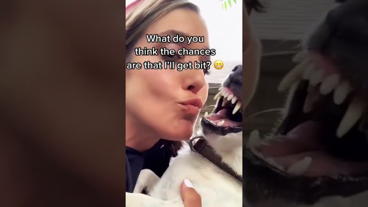 Woman is trying to kiss her dog, but he's not having it!