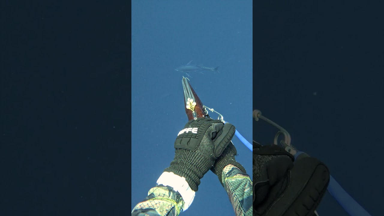 Worlds fastest Second Shot